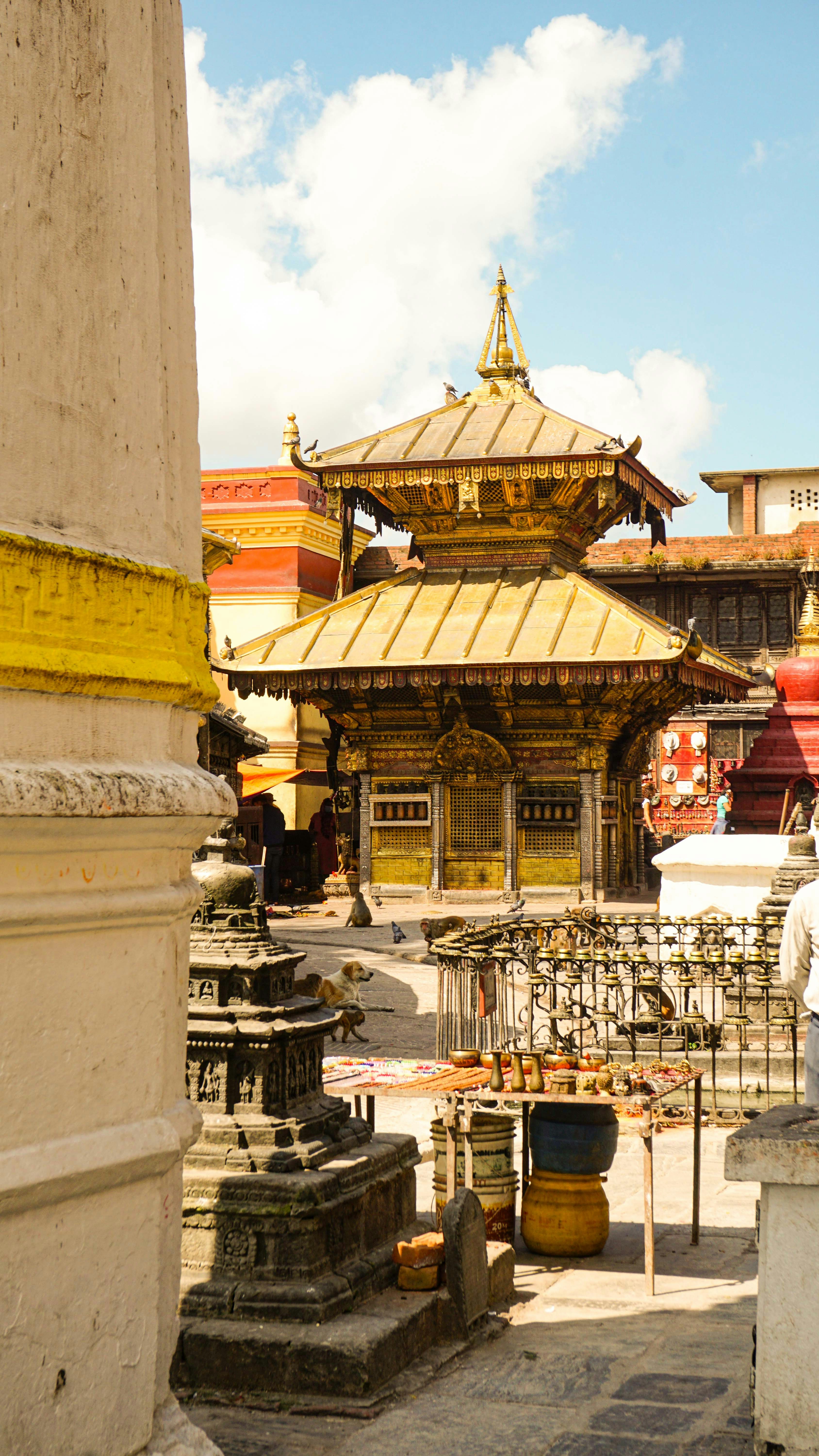 Pashupatinath Temple, Kathmandu